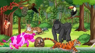 WILD Animal Stampede CHAOS in 3D Cartoon Animation!