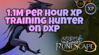 1.1M per Hour XP Training Hunter on Double XP | Runescape 3