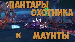 [WoW] Пантары: маунты-манаскаты, спутники и питомцы для охотника. Как и где добыть?