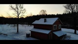 WINTER MORNING SUNRISE IN LATVIA | CINEMATIC