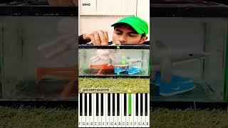 I FOUND SOME FAMOUS BRAINROT ANIMALS IN REAL LIFE @divertidosito - Piano Tutorial