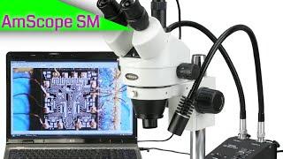 AmScope SM-1TSW2-L6W-10M Digital Professional Trinocular Stereo Zoom Microscope REVIEW