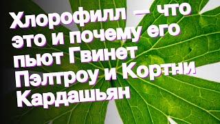 Хлорофилл — что это и почему его пьют Гвинет Пэлтроу и Кортни Кардашьян