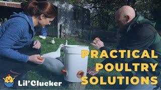 LIL'CLUCKER - GET TO KNOW US (#homesteading  and #chickenkeeping )