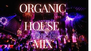 Organic House Set - Live Mixed