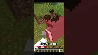 Minecraft, But if I tell the truth The video ends