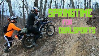 Springtime for Dualsports