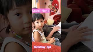 Meeting Nano, #kawaiigirl of #japan - #workaway #farm #adventures in #izmit Ep1 #farmlife #travel