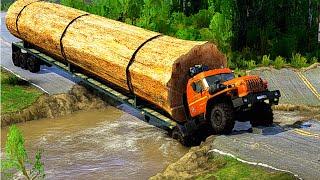 What happened? When a driver loaded with large logs crossed a cut off road | Spinteres Mudrunner