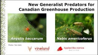 New Biocontrol Agents: Generalist Predators for Canadian Greenhouse production