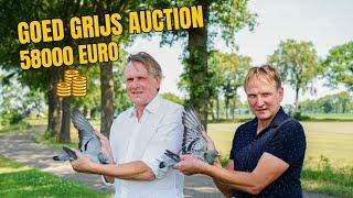 André & Bert Leideman Auction: Top Racing Pigeons on PIPA | Exclusive Presentation