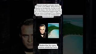 Marlon Brando Once Shipped an Entire Ice Truck to His Island... #didyouknow #celebritynews #shorts