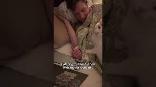 CAUGHT #cats #catshorts #funnyanimals #indooroutdoorkat