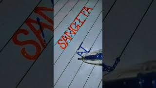 #Sangita name logo️ #bollywood #song #newsong #music #tseries #art #logoscalligraphy #newmusic