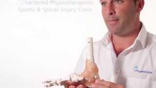 What is Metatarsalgia?