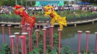 Poles and precision: Chinese lion dancers perform above water