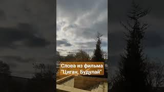 Бухара восточная сказка!!! #бухара #узбекистан