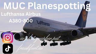 Close-up Airbus A380-800 landing | Lufthansa | Planespotting