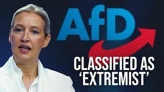 The Alternative für Deutschland: Was Germany Wrong to Target its Biggest Political Party?