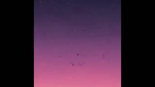 Cosmic Bloom