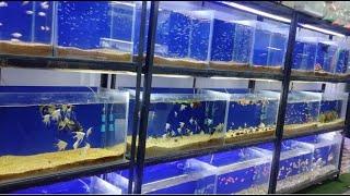 A Tour of Aquatic House | Aquatic Shop In Karachi Pakistan.