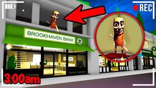 100 SECRETS in Roblox Brookhaven RP!