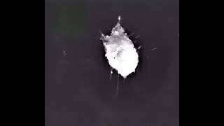 Bir Nöronun Ölümü  İşte Böyle Unutuyor İnsan Beyni!