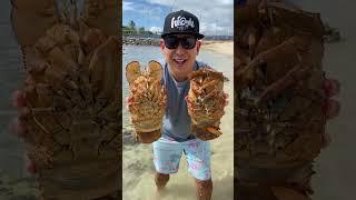 Caught This Rarest Lobster On Earth - And It Was All Because of Luck!