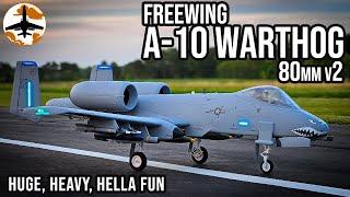 Huge & Heavy, but Flies Light - Freewing A-10 80mm v2 Review