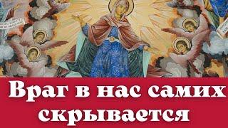 Наши страсти – это болезнь души! - Николай (Могилевский)