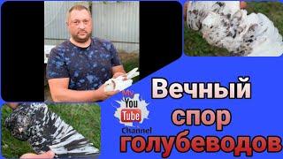 Вечный спор голубеводов Бакинской птицы