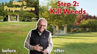 How To Fix An Ugly Lawn REVEAL | Step 2: Killing Lawn Weeds (Before & After)