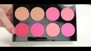 Technic Colour Fix blusher