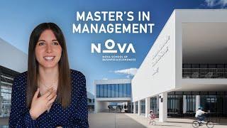 Master's in Management at Nova SBE | My Experience