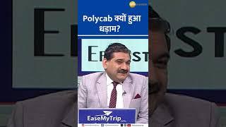 Polycab Stock: Why Is It Falling? Find Out with Anil Singhvi