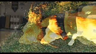Avenoir (unintention bank)