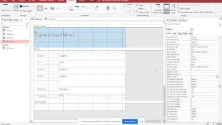 Ms Access Veri Tabanı - Formlar, Raporlar ve Sorgular