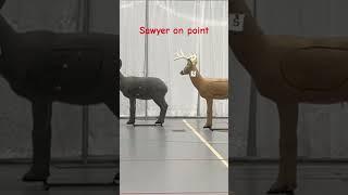 Archery 3D #nasp #educational #youth #archery