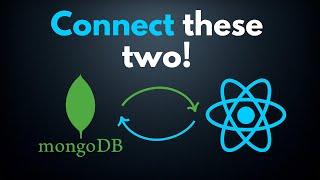 How to Connect a MongoDB Database to React