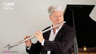 Singing & Playing | Playing the Flute with Professor Bill Dowdall