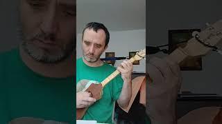 Se Vuol Ballare  by W.A.Mozart for DAD Merlin  Seagull with 1+ fret #merlin #mozart #classical