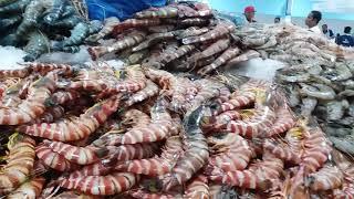 Water front fish market-dubai. The cleanest wet market in the world.  You must watch