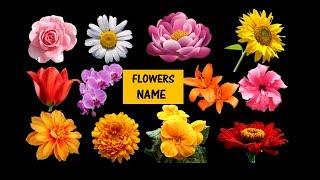 Learn Names of Flowers | Flower Names in Animation Video | Learning for Kids