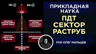 Применение комплекса РАСТРУБ, СЕКТОР и ПДТ | Прикладная наука | Мальцев Олег Викторович