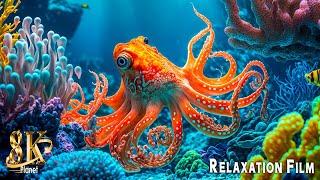 Music of Underwater Wonders + Relaxing Music - The Best 8K Sea Animals for Relaxation