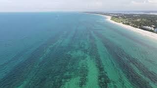 Vero Beach shipwreck