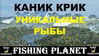 Уникальные рыбы реки Каник крик в игре Fishing planet Аляска