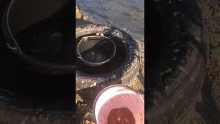 Эх рыбалочка #fishinglife #fishingvideo #рыбалка #рыбалкаскомфортом