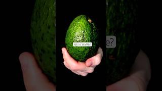 Avocado - Will it Waffle?