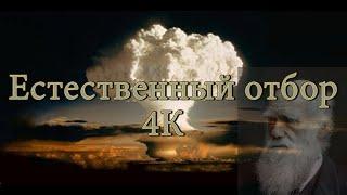 Естественный отбор 4K